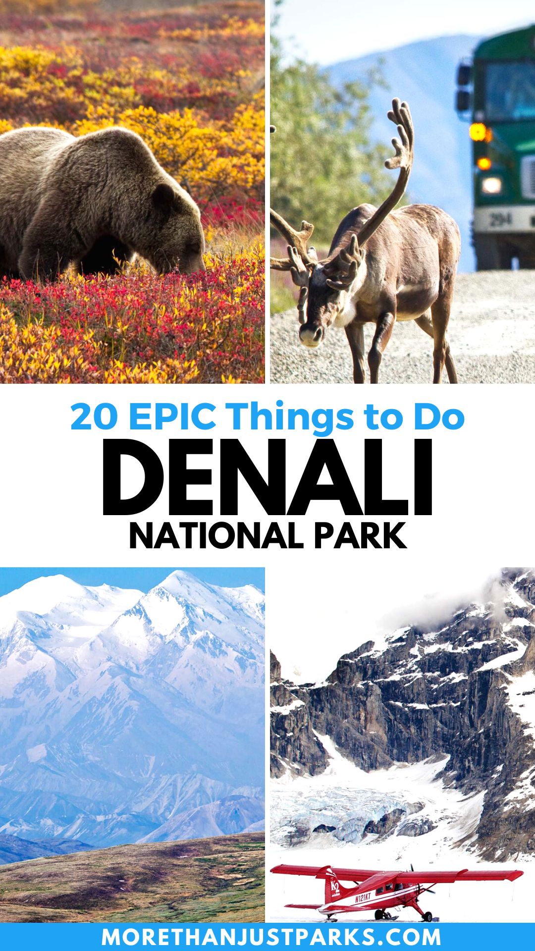 things to do denali national park