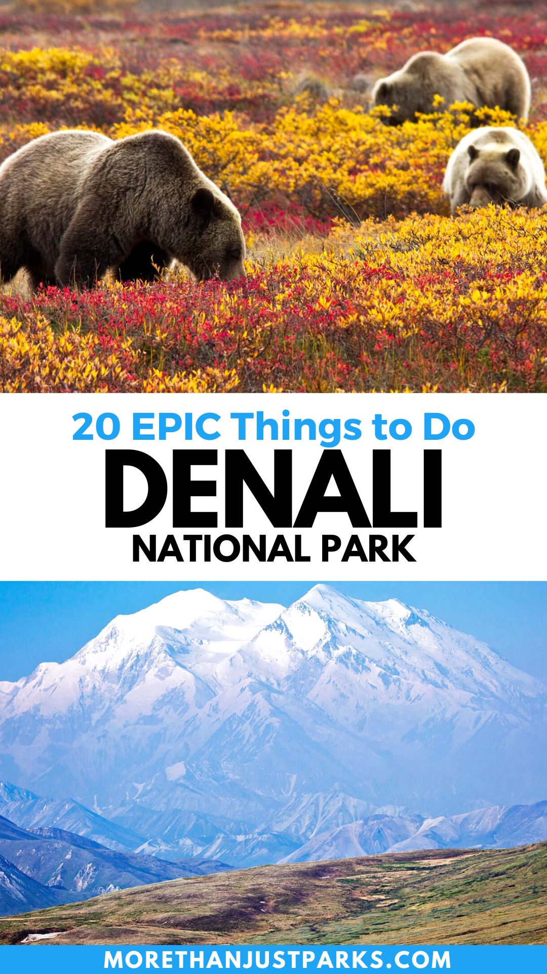 things to do denali national park
