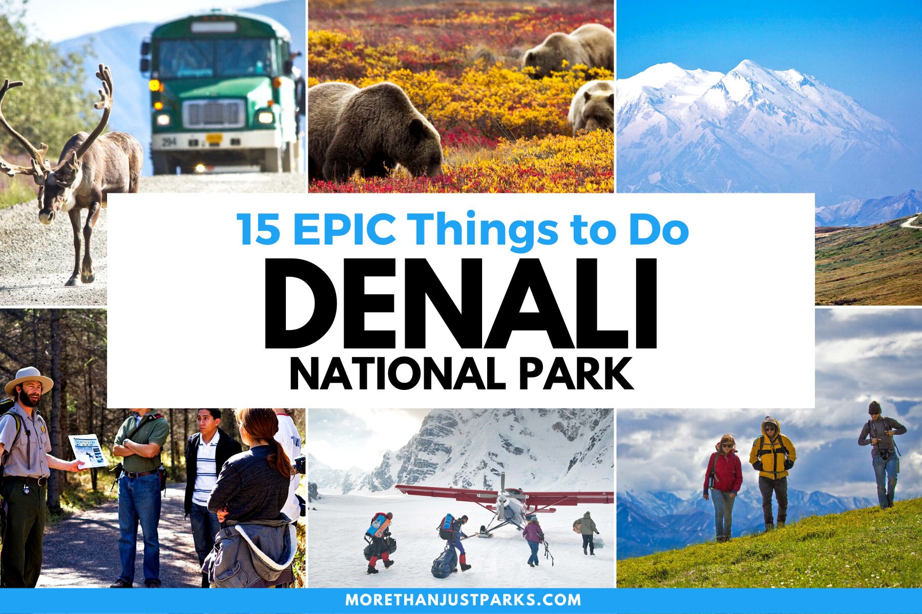 things to do in denali national park