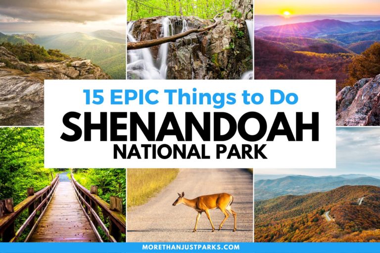 things to do in shenandoah national park