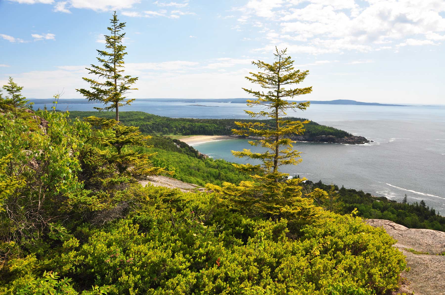 gorham mountain trail, best hikes in acadia national park