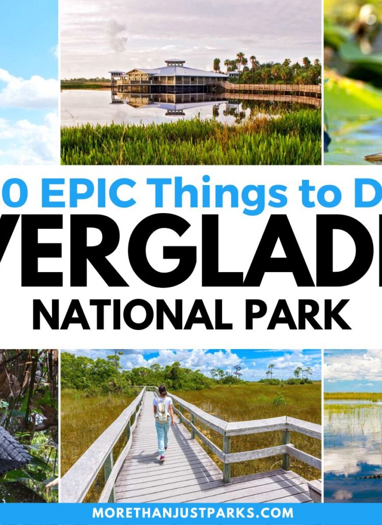 20 EPIC Things to Do in Everglades National Park (Photos + Tips)