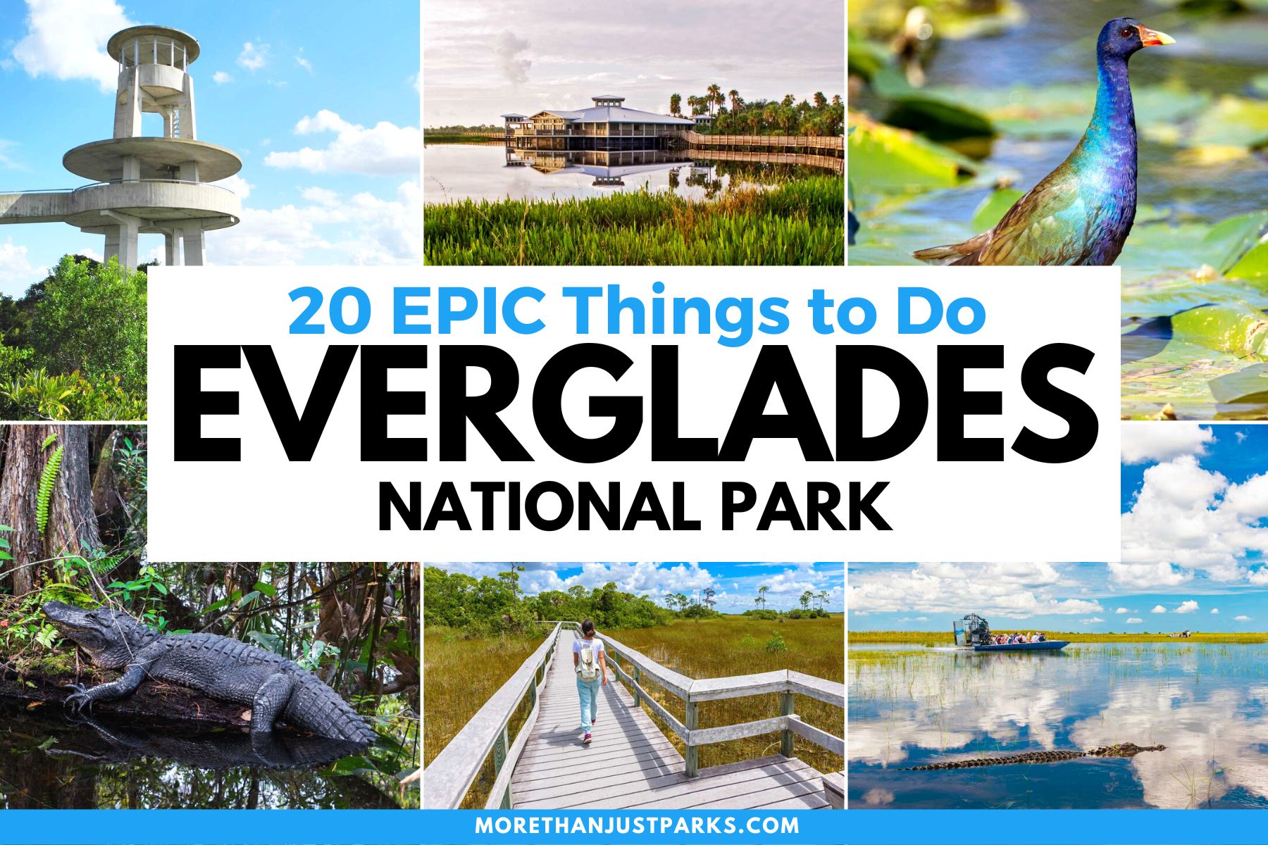 things to do in everglades national park florida