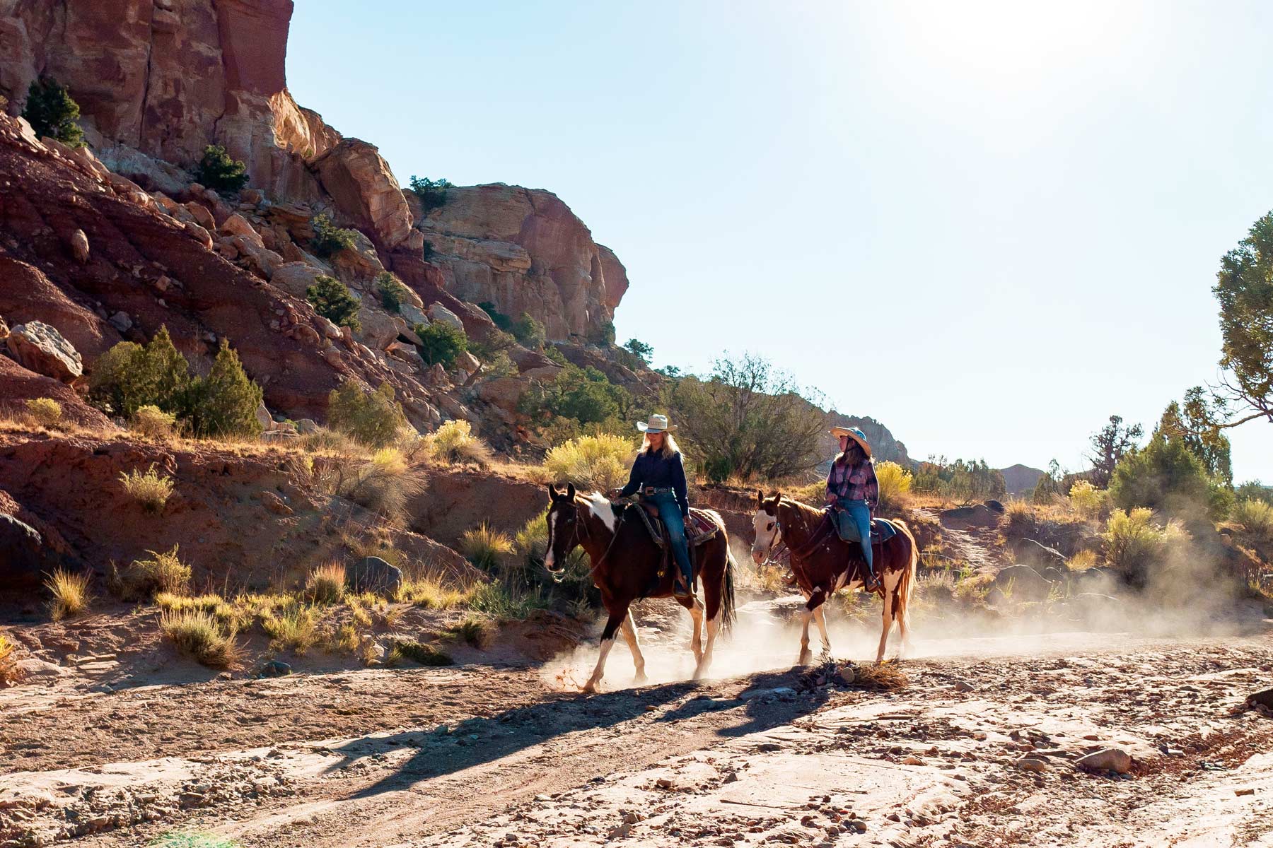 horseback riding, things to do in capitol reef national park