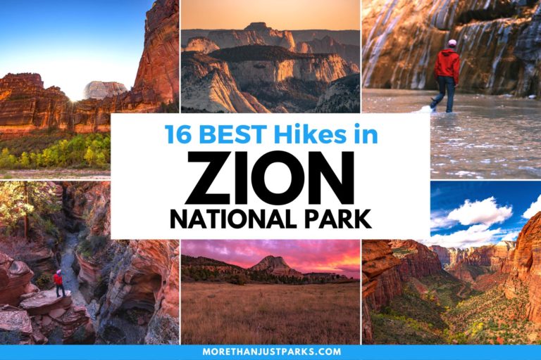 best hikes in zion national park, best zion national park hikes