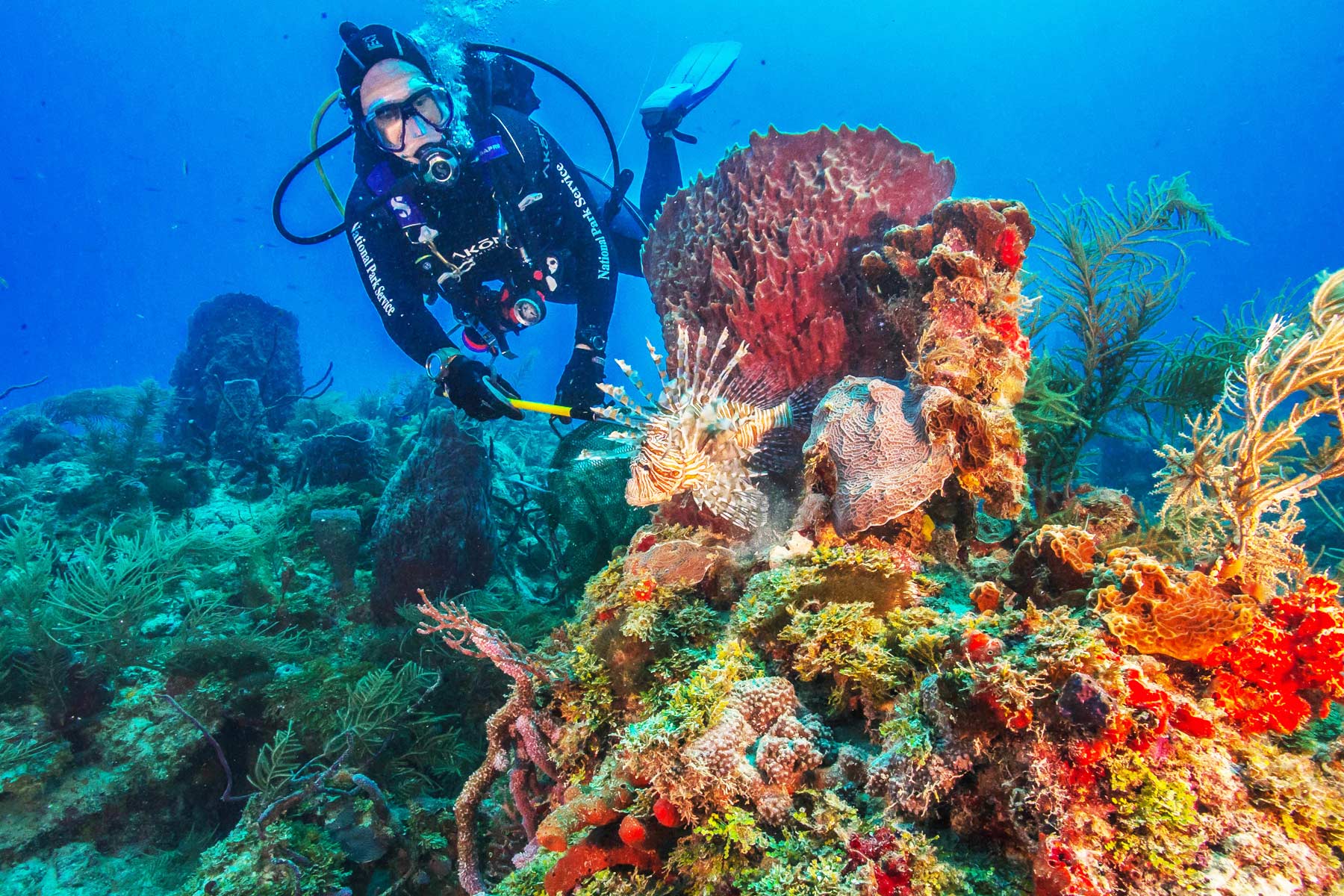 diving, things to do in biscayne national park