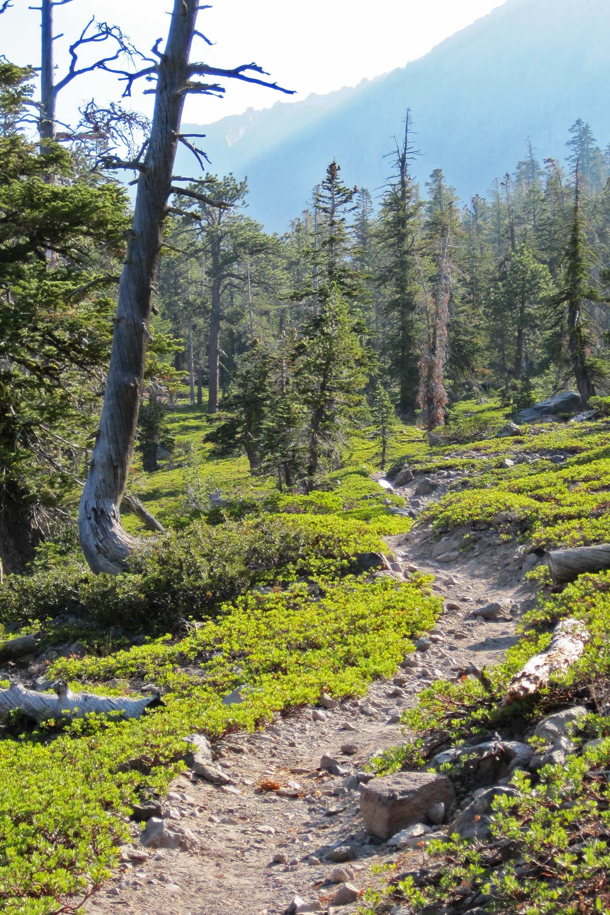 crags lake trail, things to do in lassen volcanic national park