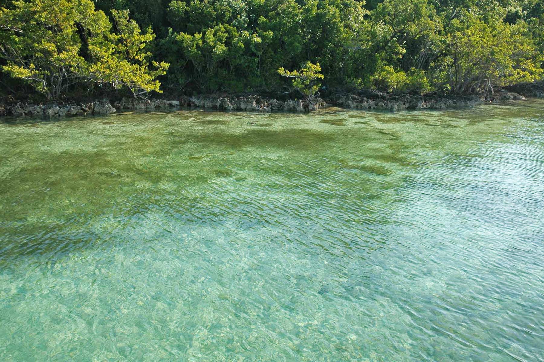 elliott key in biscayne bay, things to do in biscayne national park