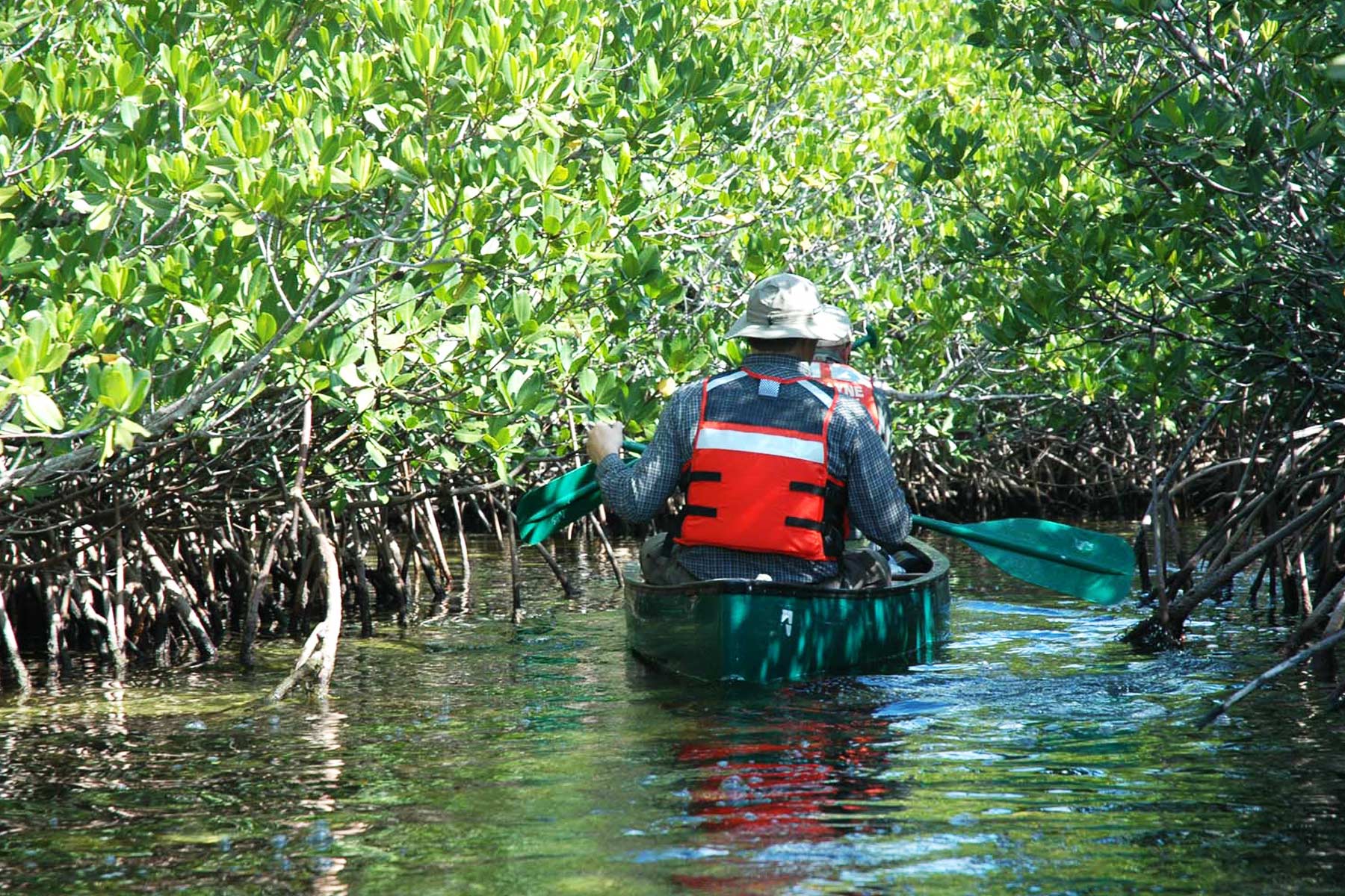 jones lagoon canoeing, things to do in biscayne national park