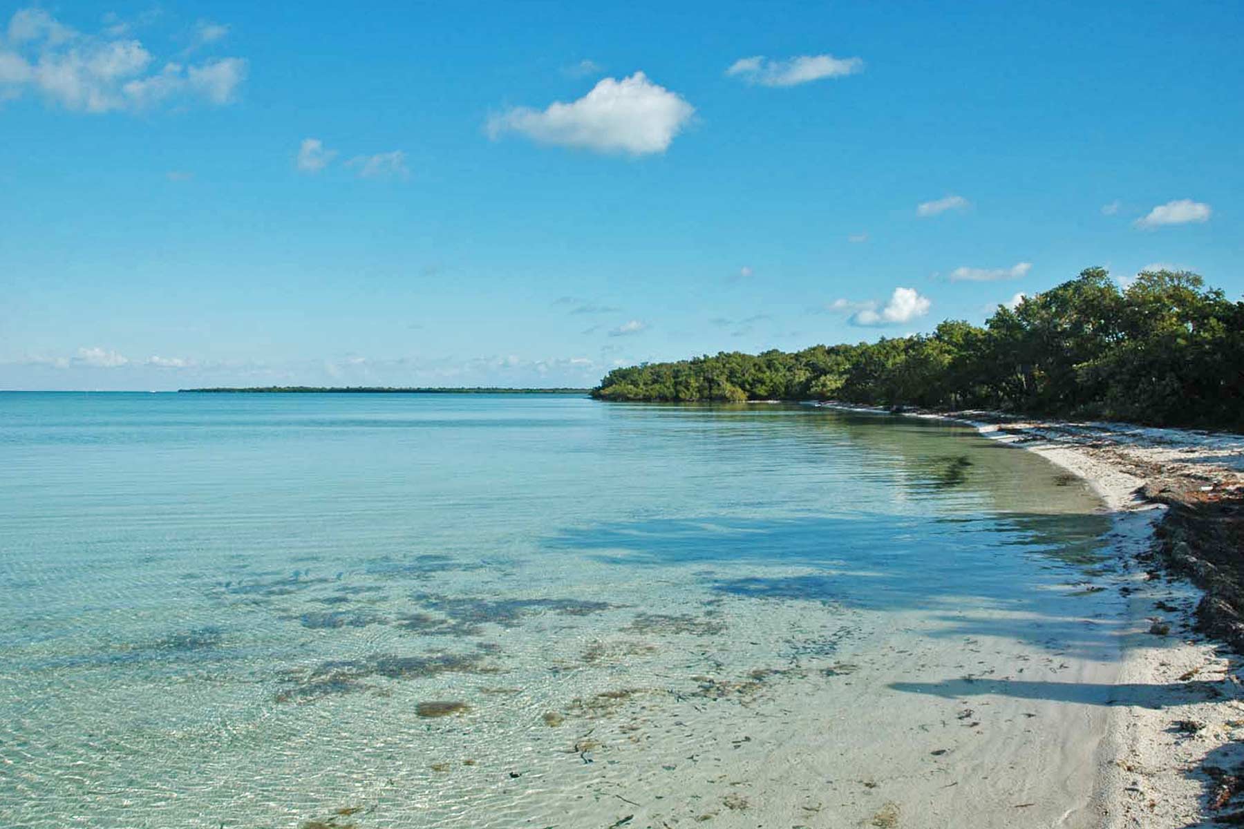 north elliott key, things to do in biscayne national park