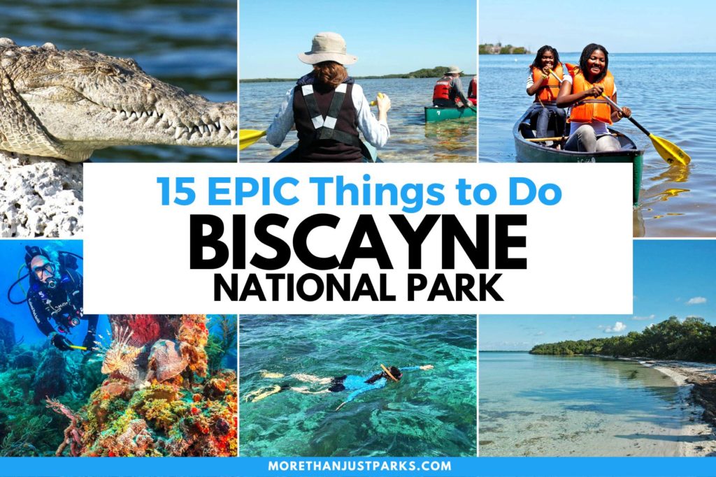 things to do in biscayne national park