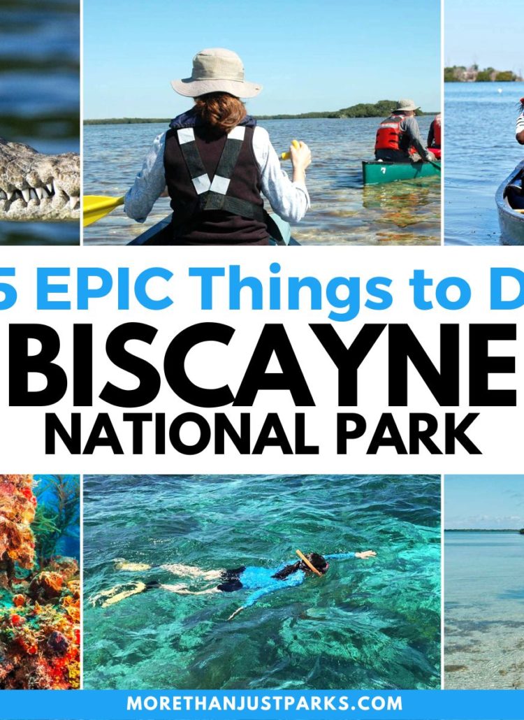 things to do in biscayne national park