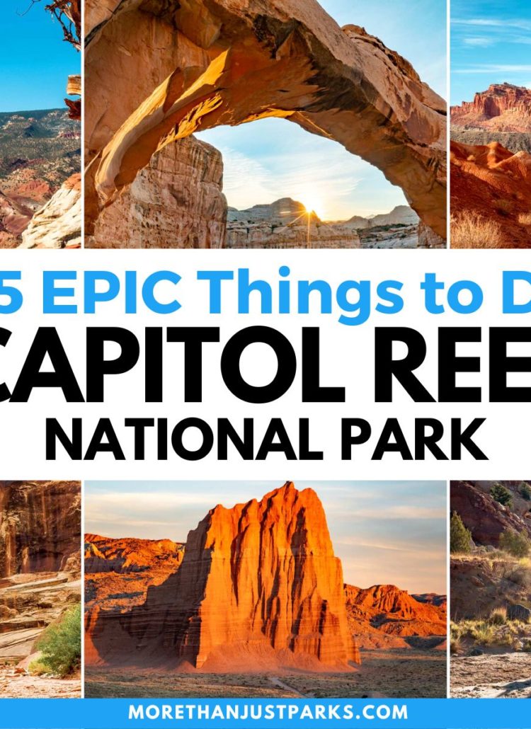 25 AMAZING Things to Do in Capitol Reef National Park (+ Video)