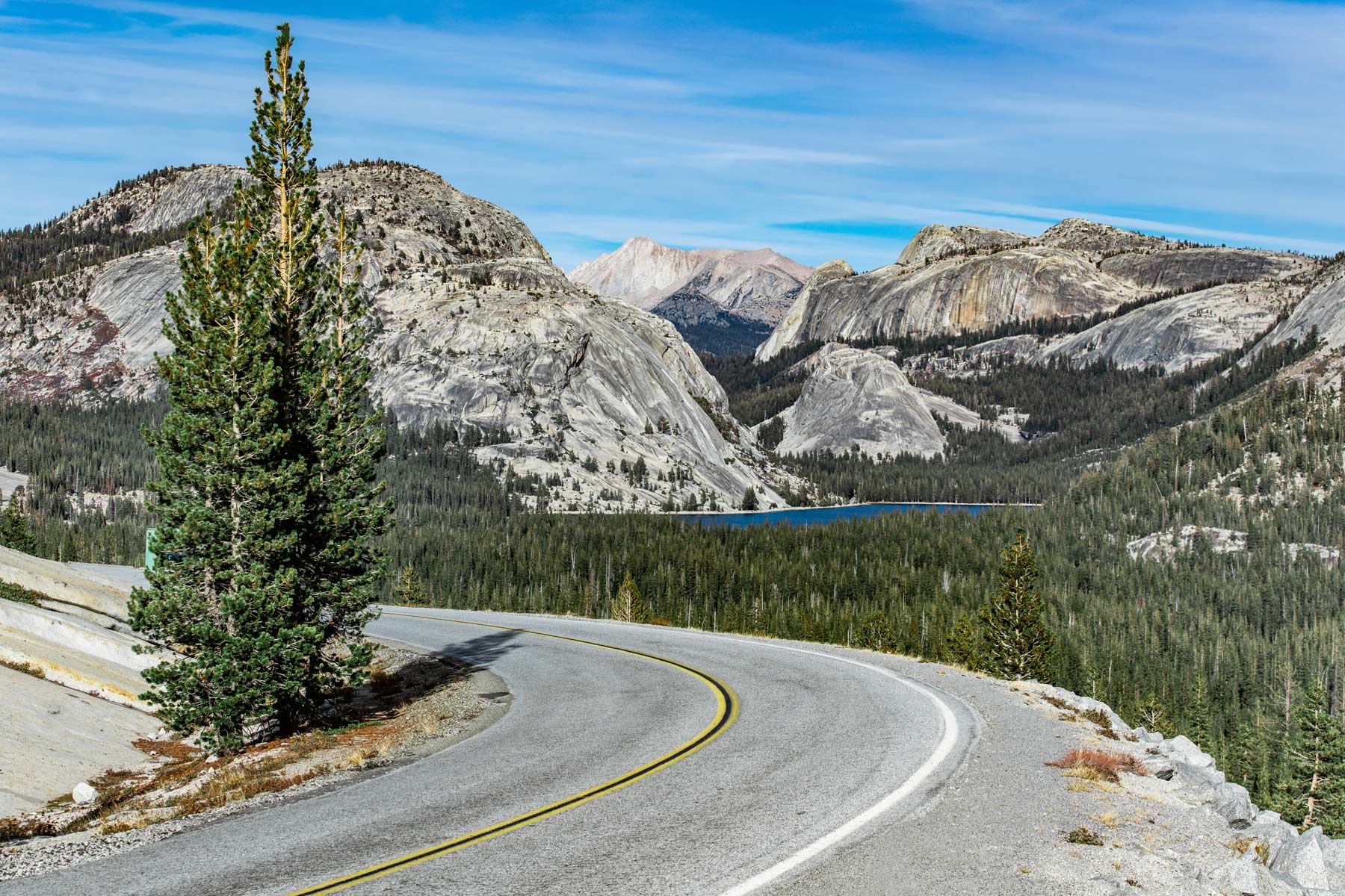 tioga pass, things to do in yosemite national park