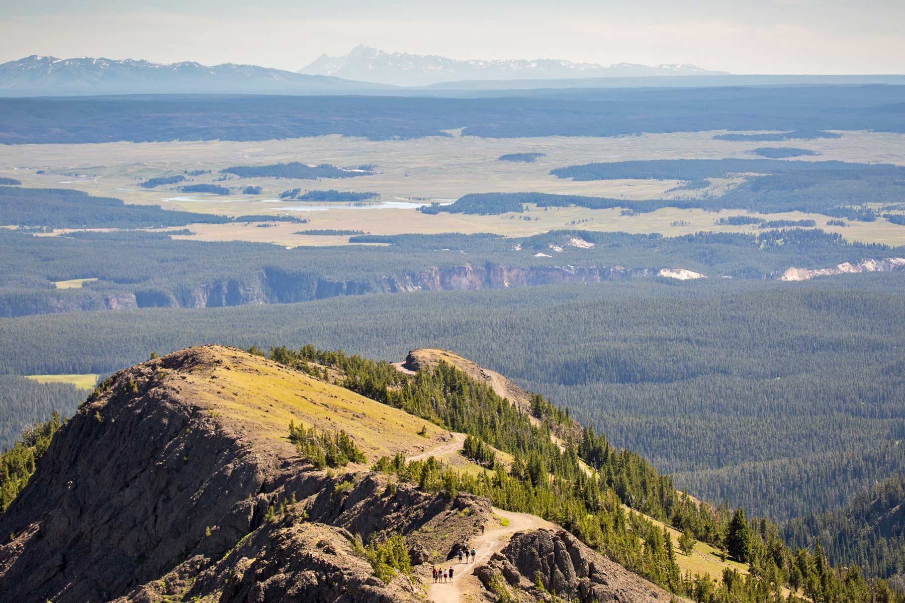 mount washburn, things to do in yellowstone national park
