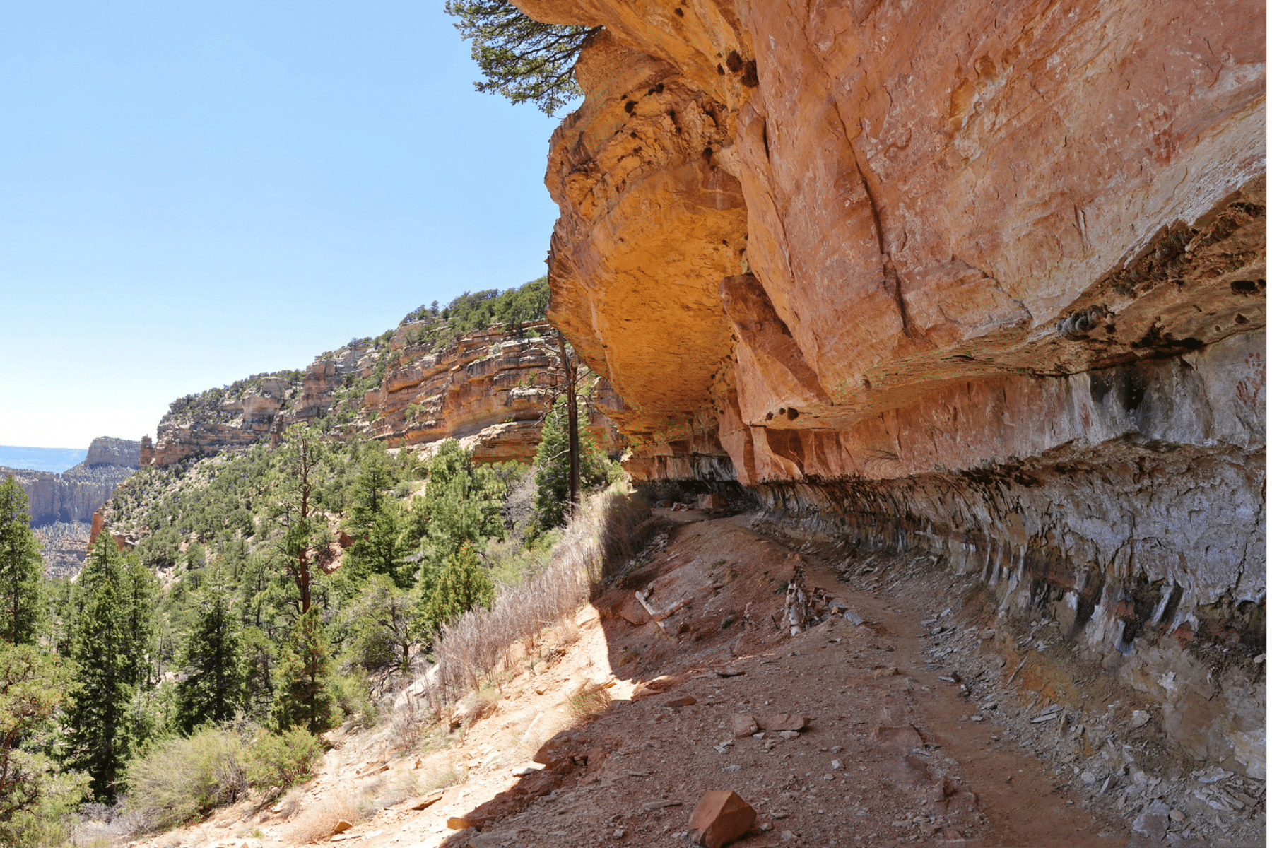 A cliff hangs over a narrow path that falls to a hill with mountains and trees in the background at the North Rim of Grand Canyon National Park on the Cliff Springs Trail.