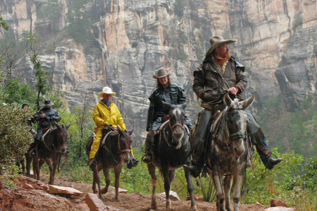 Four people ride mules through a dirt trail with canyon walls behind them near the North Rim of Grand Canyon National Park.
