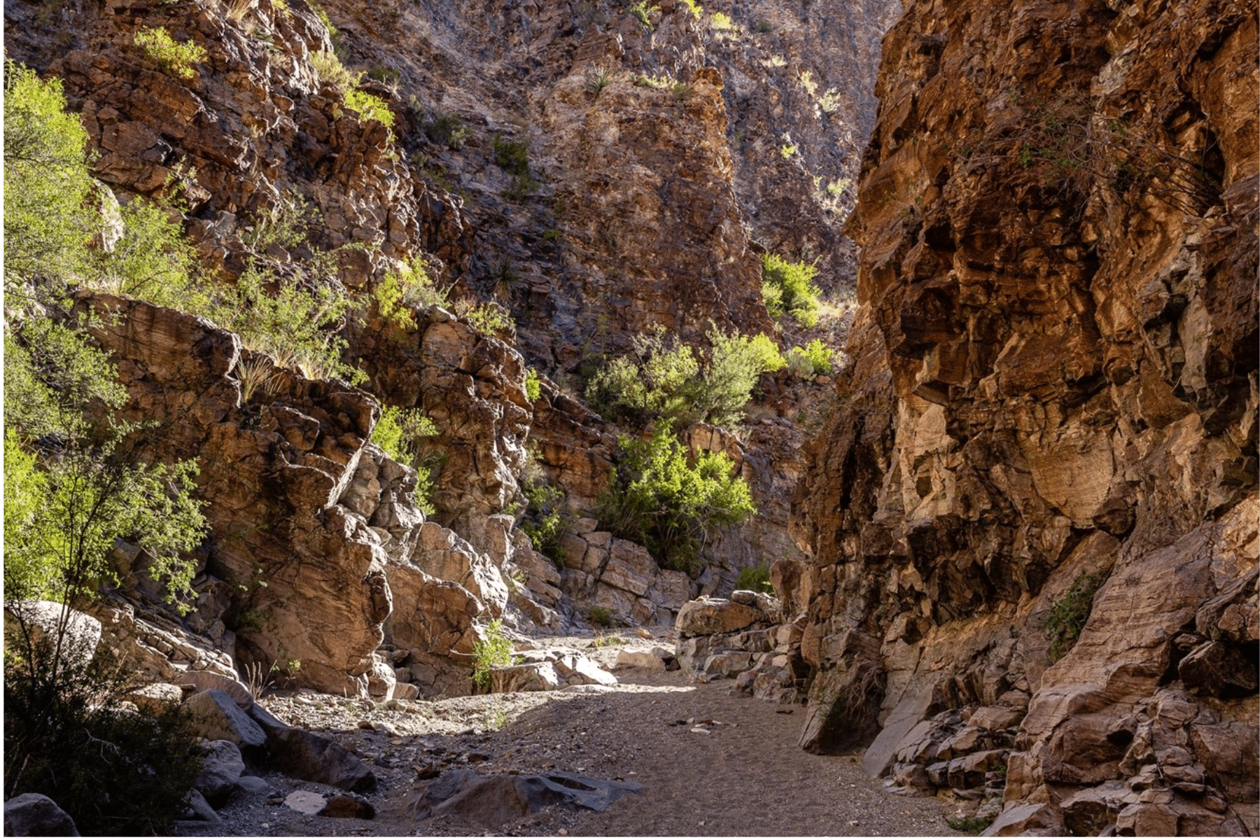 The Upper Burro Mesa Pouroff Trail follows a sandy wash through steep canyon walls.