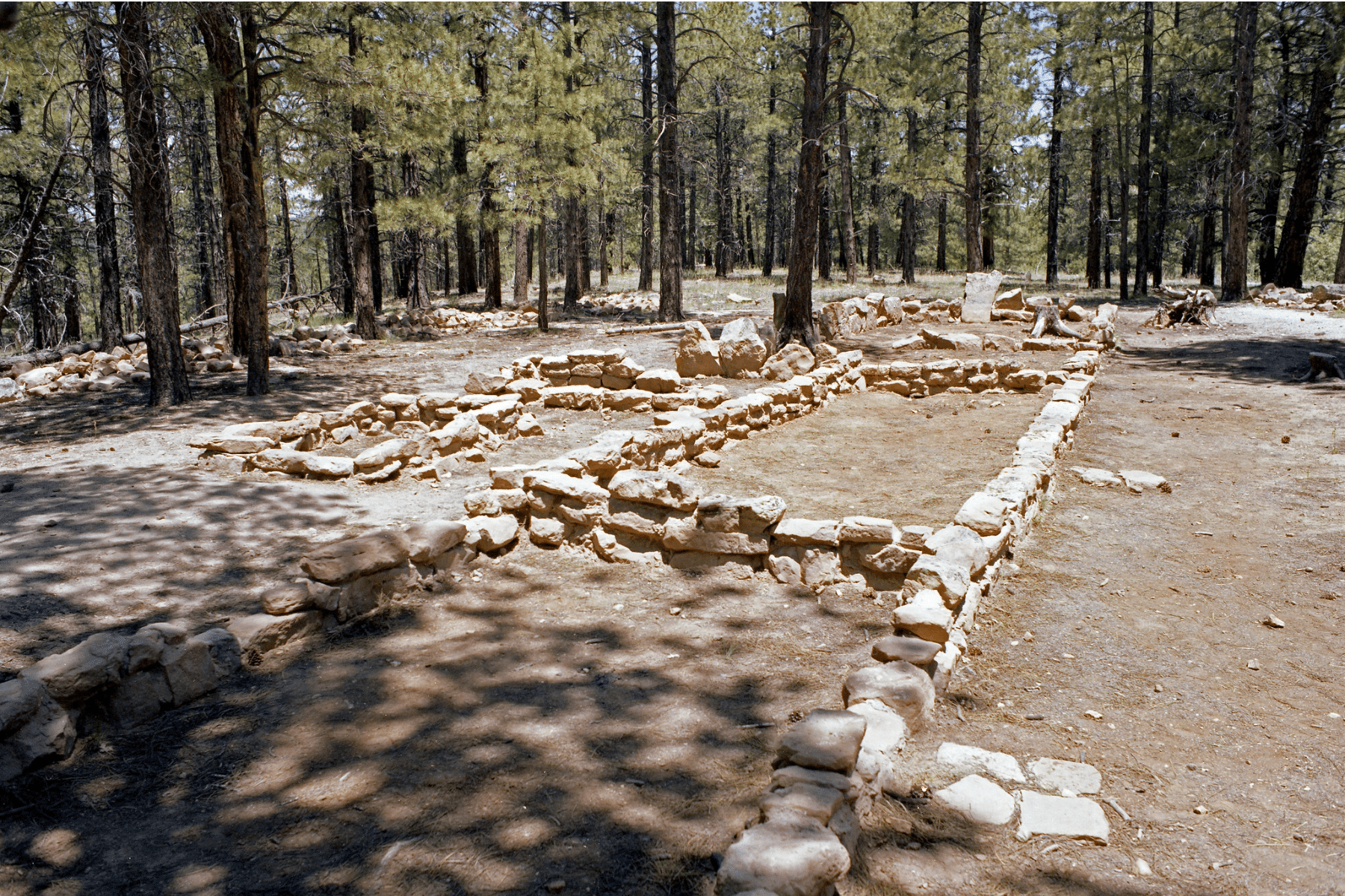 Rocks form the outline of homes from 900 years ago in a dense forest at Walhalla Ruins near the North Rim of the Grand Canyon.