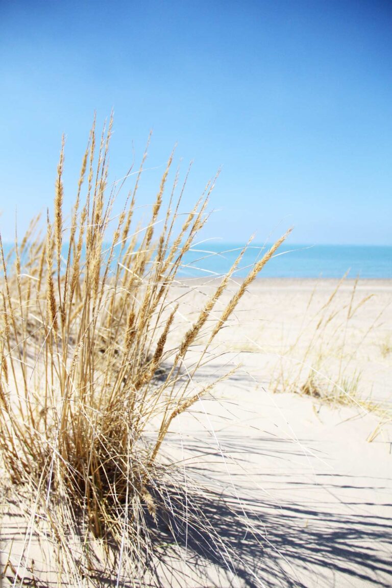 20 Fun Indiana Dunes Things to Do (+ Camping at the Dunes)