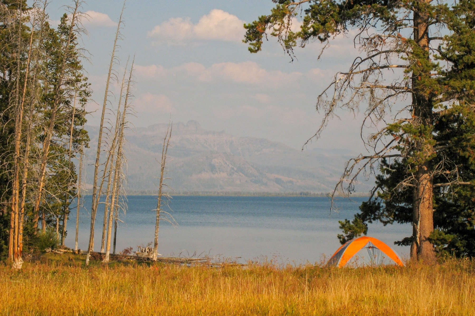 Campsite in Yellowstone in the fall, Camping is a big topic in the 7 principles of Leave No Trace