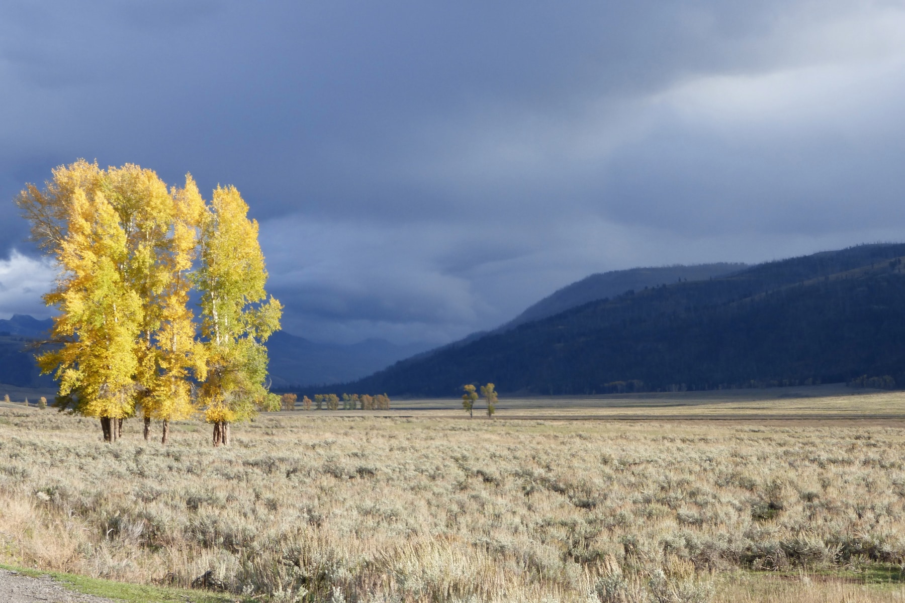 Lamar Valley Yellowstone in the fall