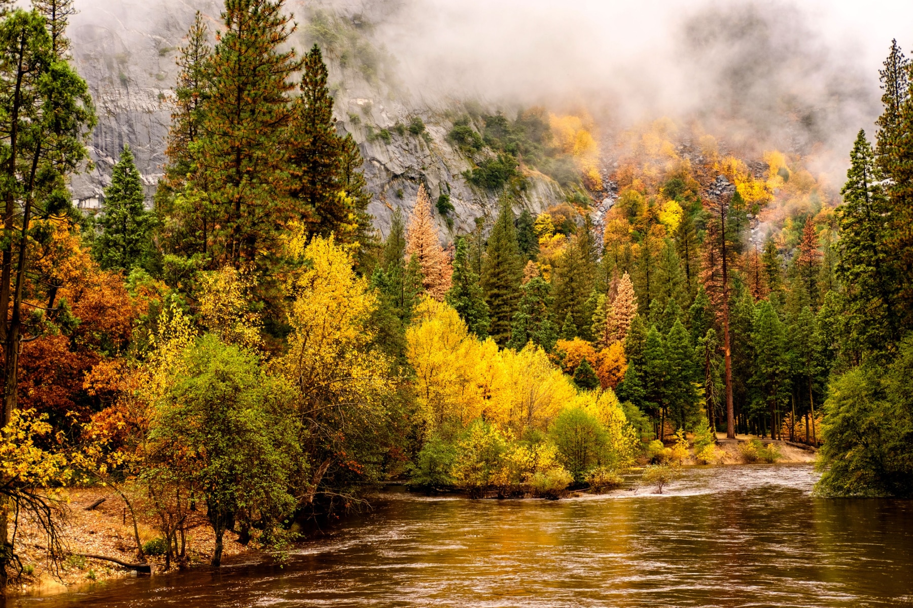 Fall foliage, fog, and a river blend together in Yosemite's Wilderness. 