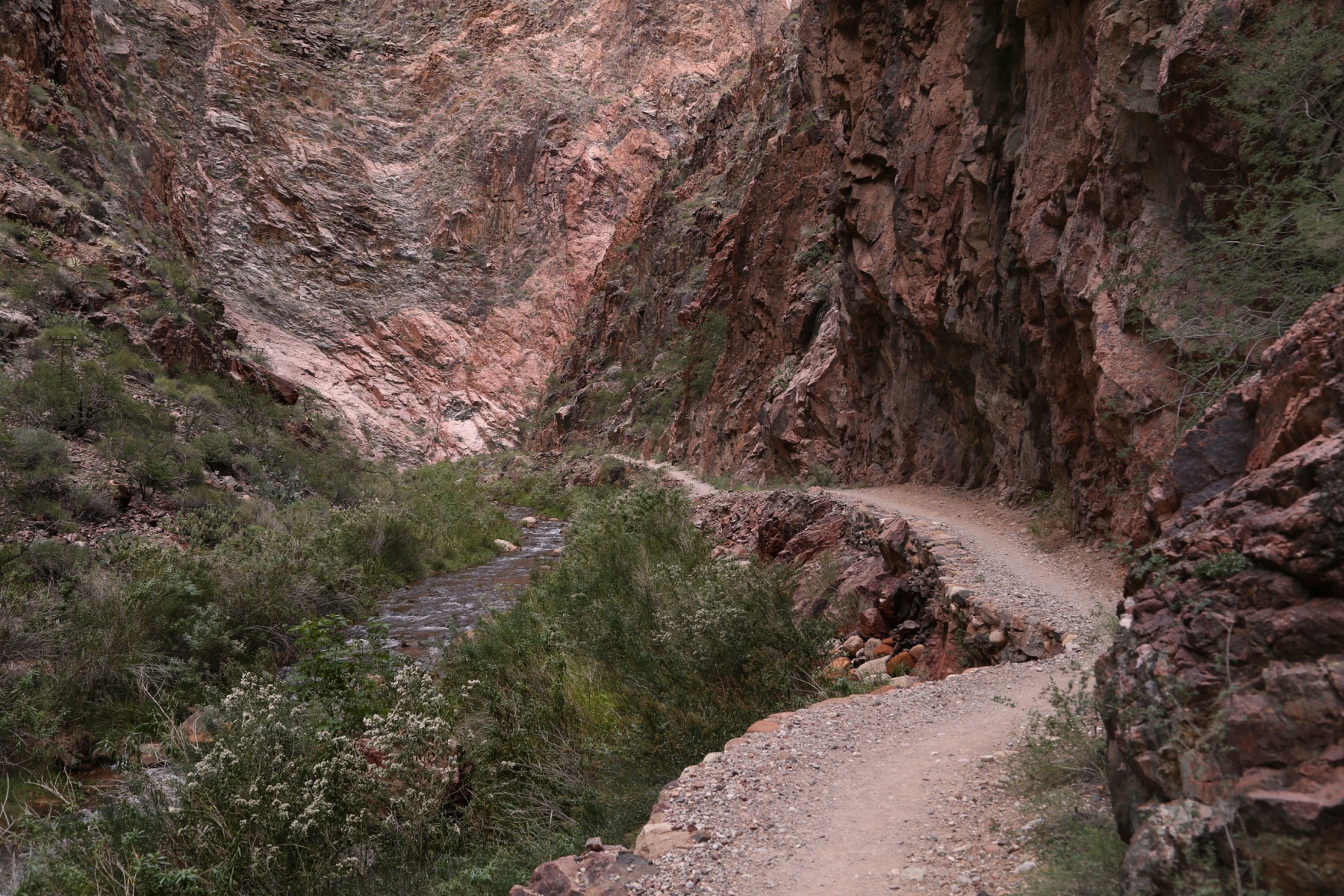 A rocky trail runs alongside steep, dark cliffs with a creek running alongside in The Box section of North Kaibab Trail in Grand Canyon National Park.