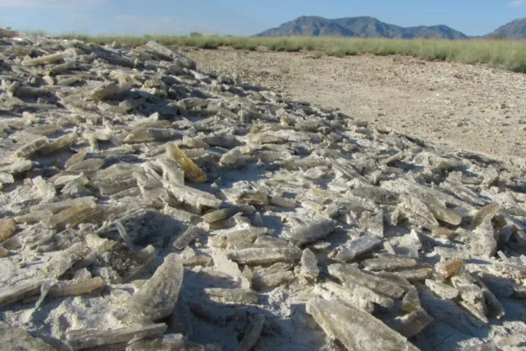 15 EPIC Things to Do in White Sands National Park (Helpful Guide)
