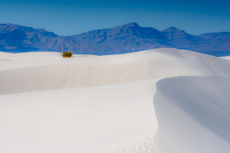 Things to do in White Sands National Park