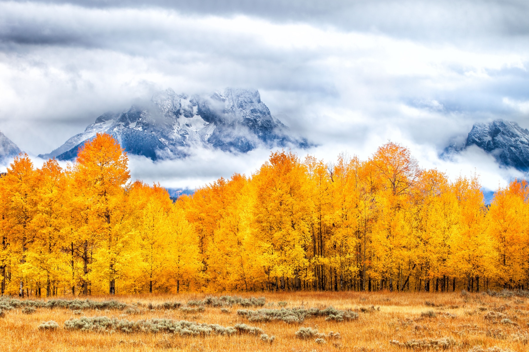 Fall foliage with wintry mountains in the background is a hallmark of Yellowstone in the fall.