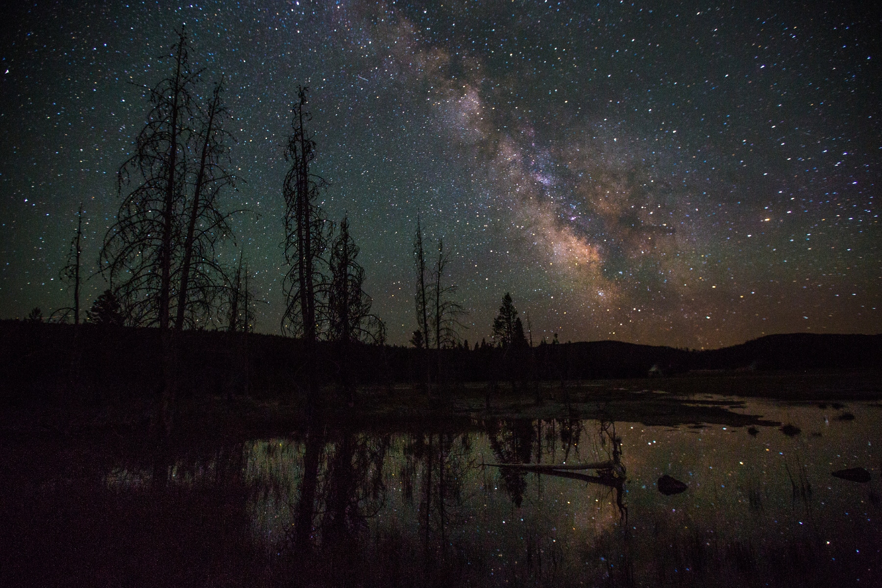 The Milky Way over Yellowstone National Park.