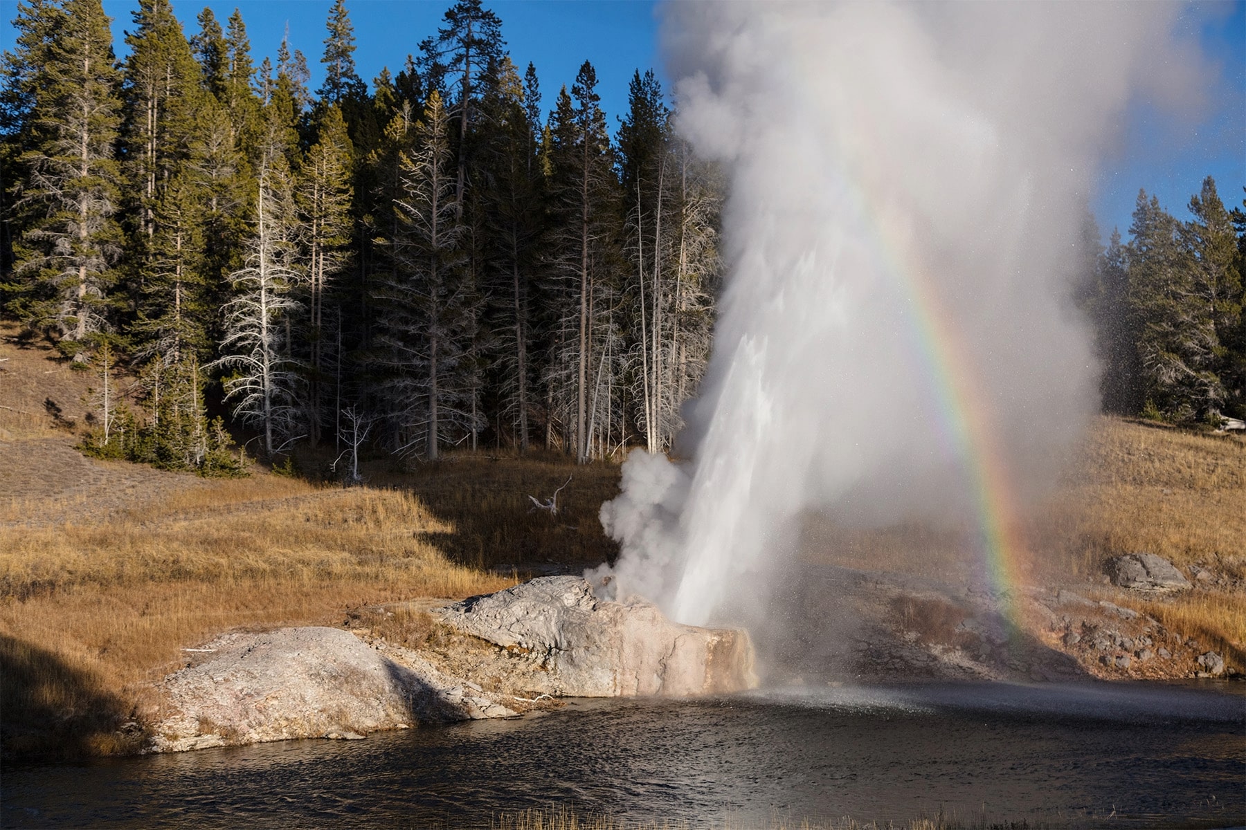 Geyser lakeside at Yellowstone in the fall. 