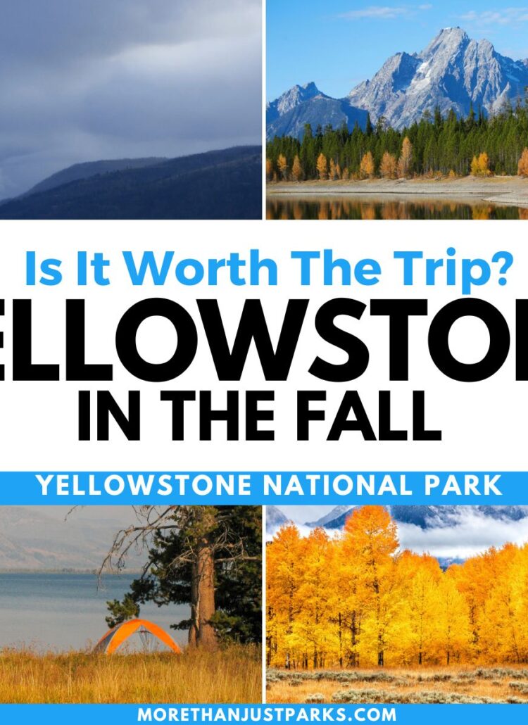 ULTIMATE Yellowstone in the Fall Guide (By Month +Photos )