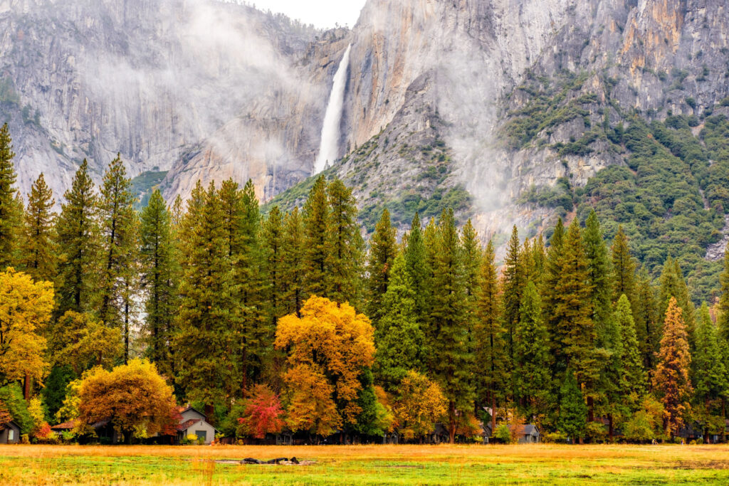 Yosemite falls with pine trees and fall foliage in the foreground.