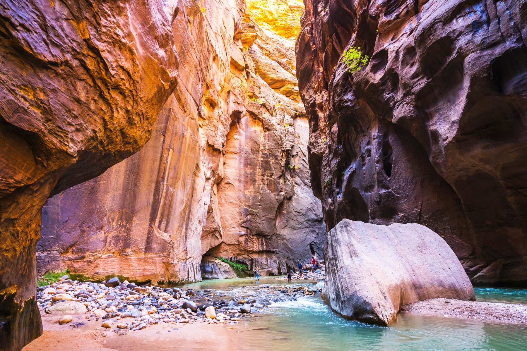 hike the narrows zion, hiking the narrows zion national park