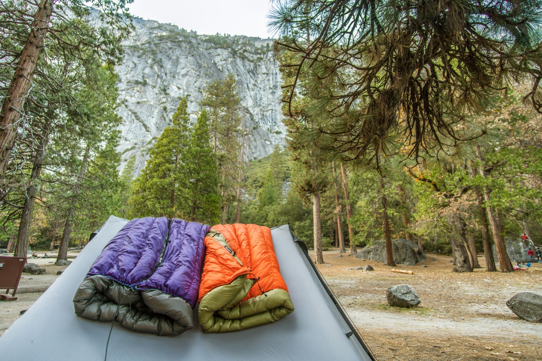 A tent and sleeping bags facing the forest and granite walls of Yosemite.