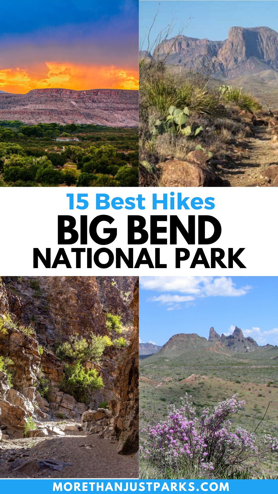 best hikes in Big Bend National Park