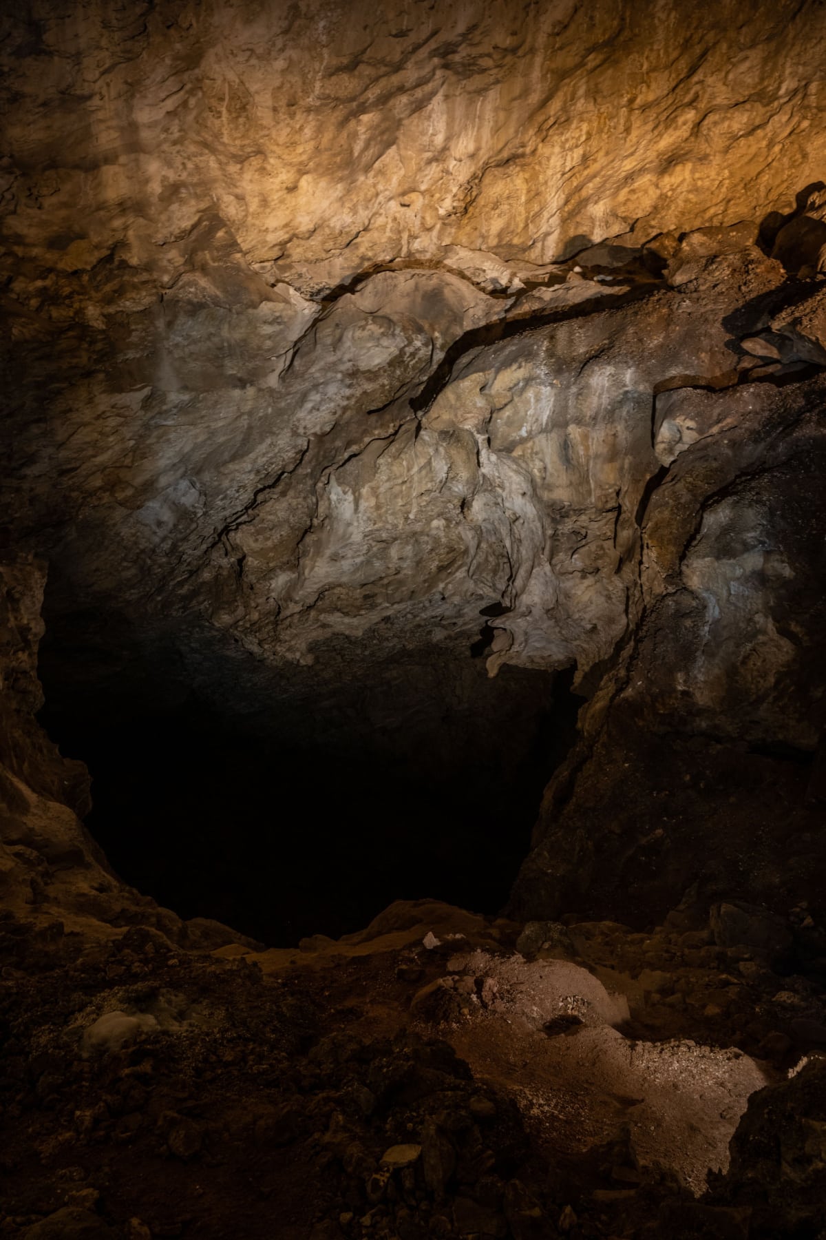 Bottomless Pit Carlsbad Caverns
