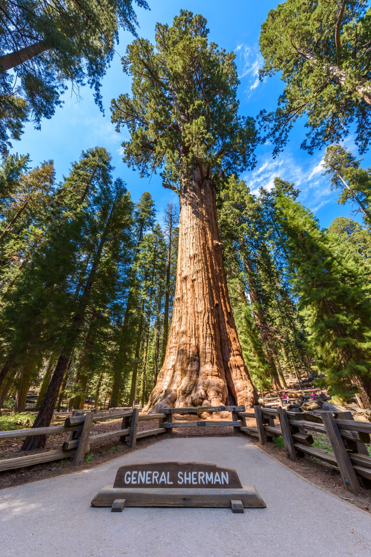 General Sherman Sequoia National Park