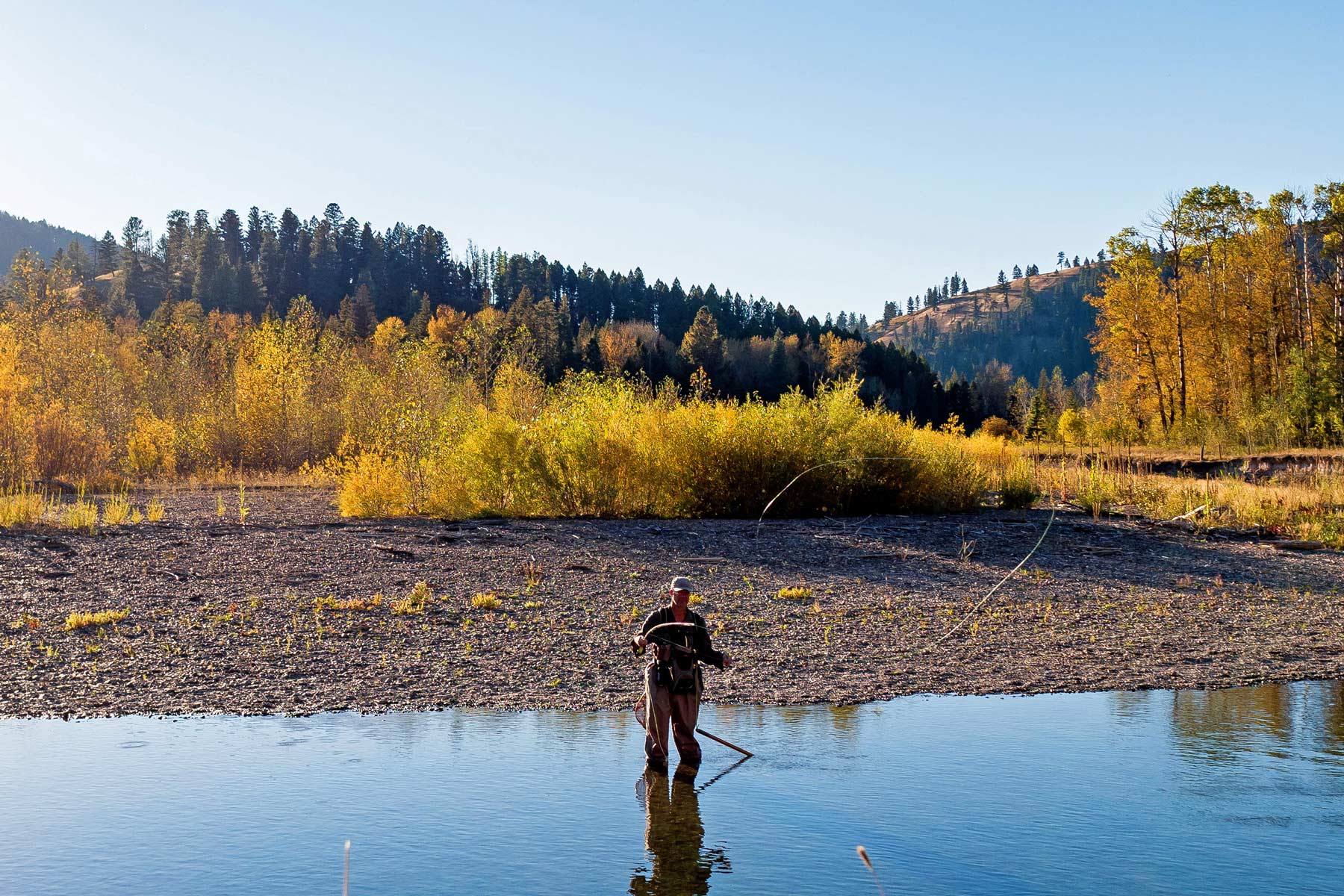 helena-lewis & clark national forest, fly fishing