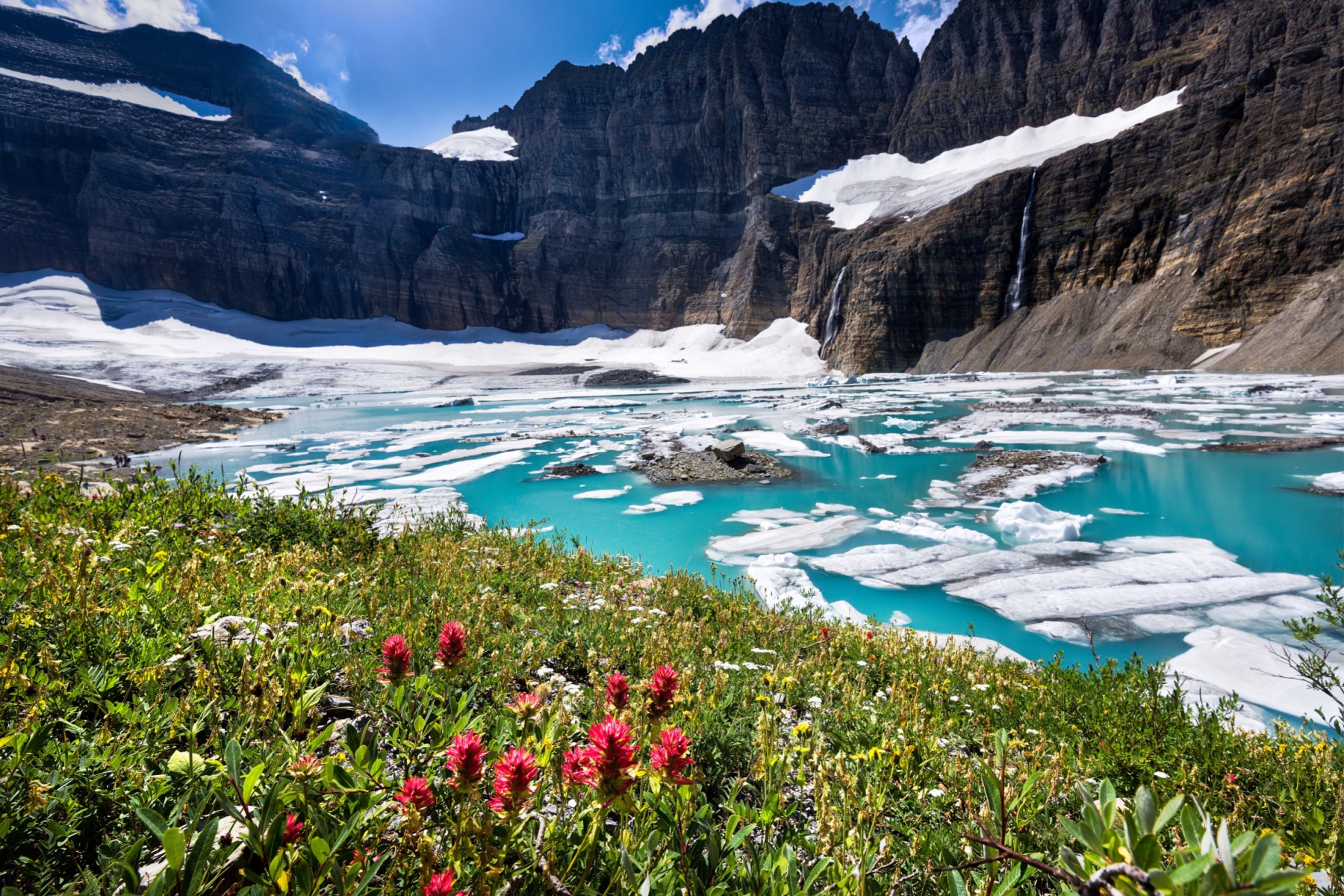 Grinnell Glacier with alpine lake and mountains above. Wildflowers grow in the foreground.