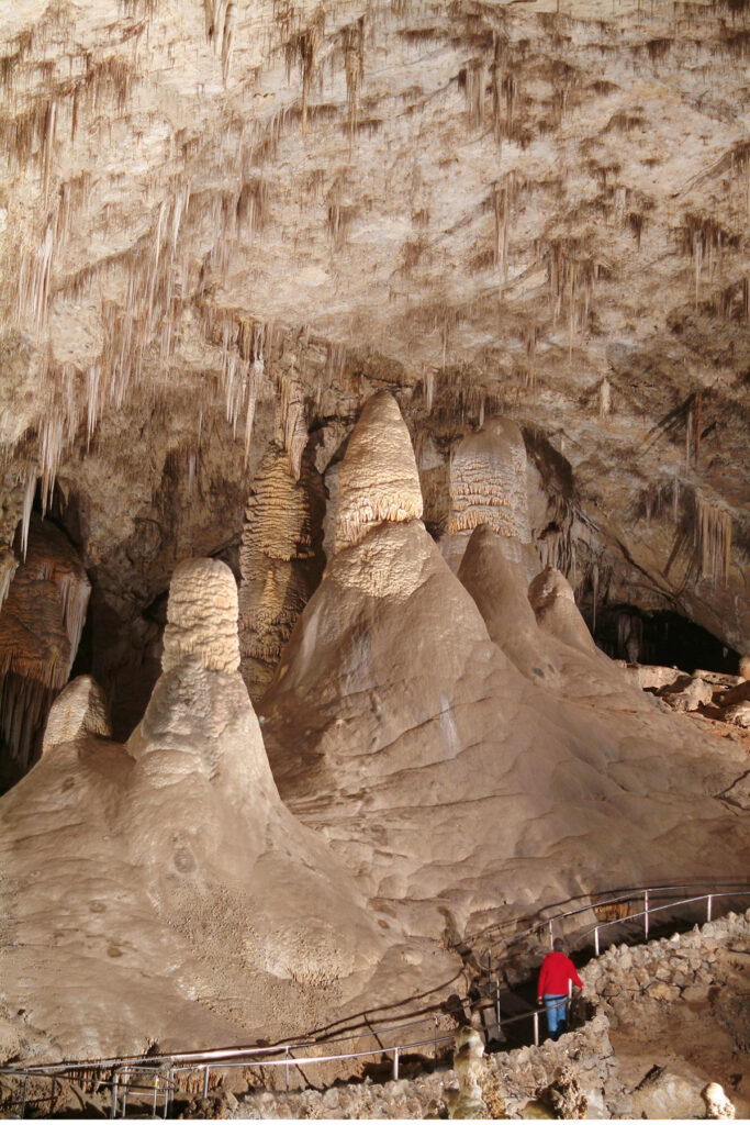 Hall of Giants Carlsbad Caverns