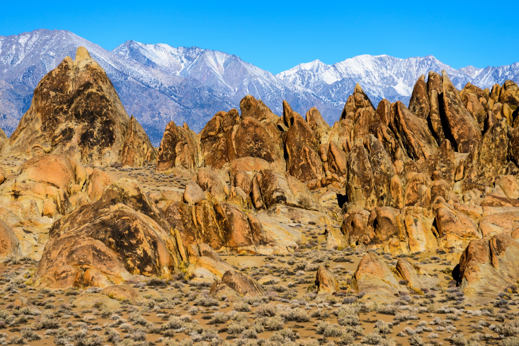 Mount Whitney's landscape shows snow-covered mountains int he back and brownish orange mountains in the foreground.