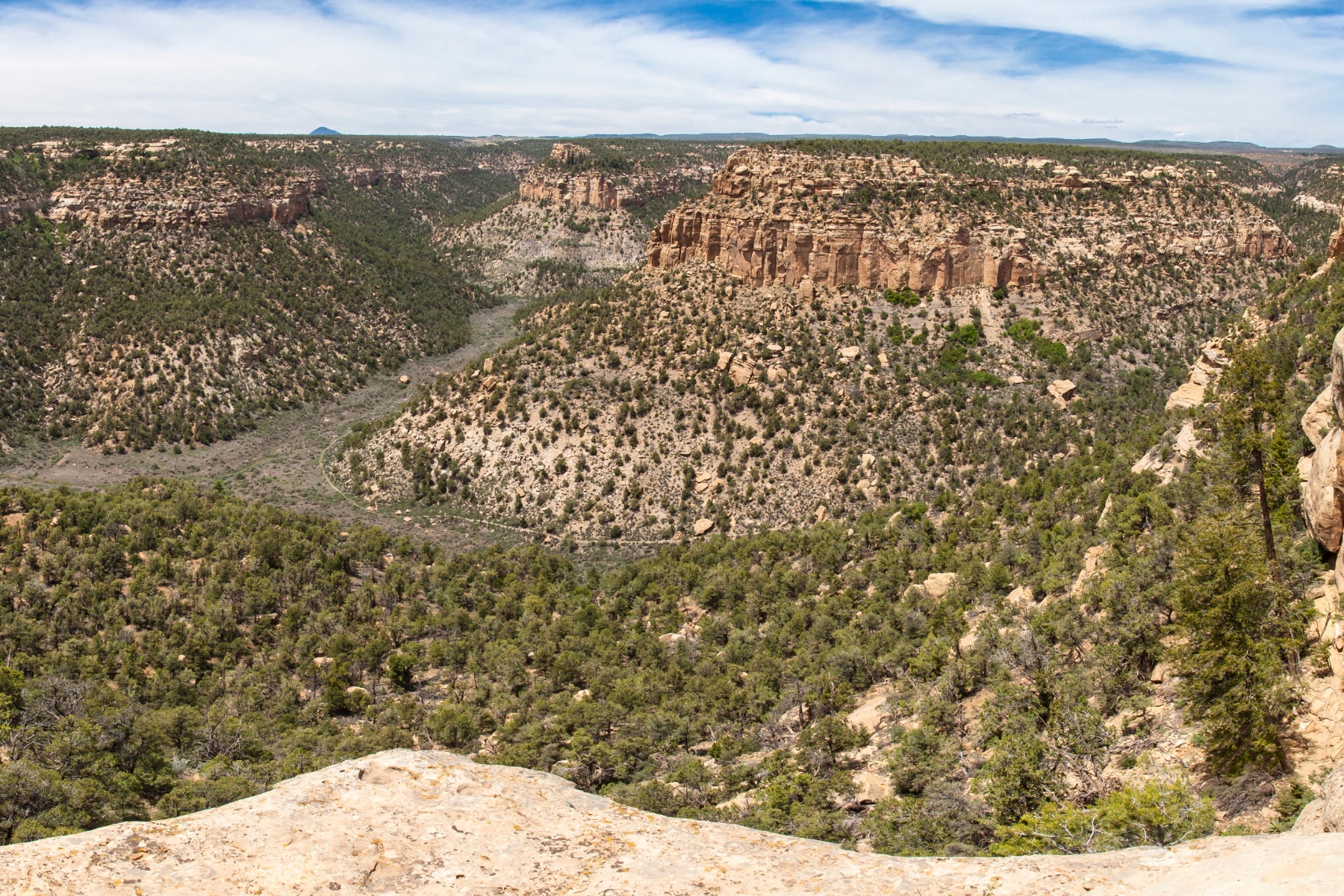 things to do in Mesa Verde National Park