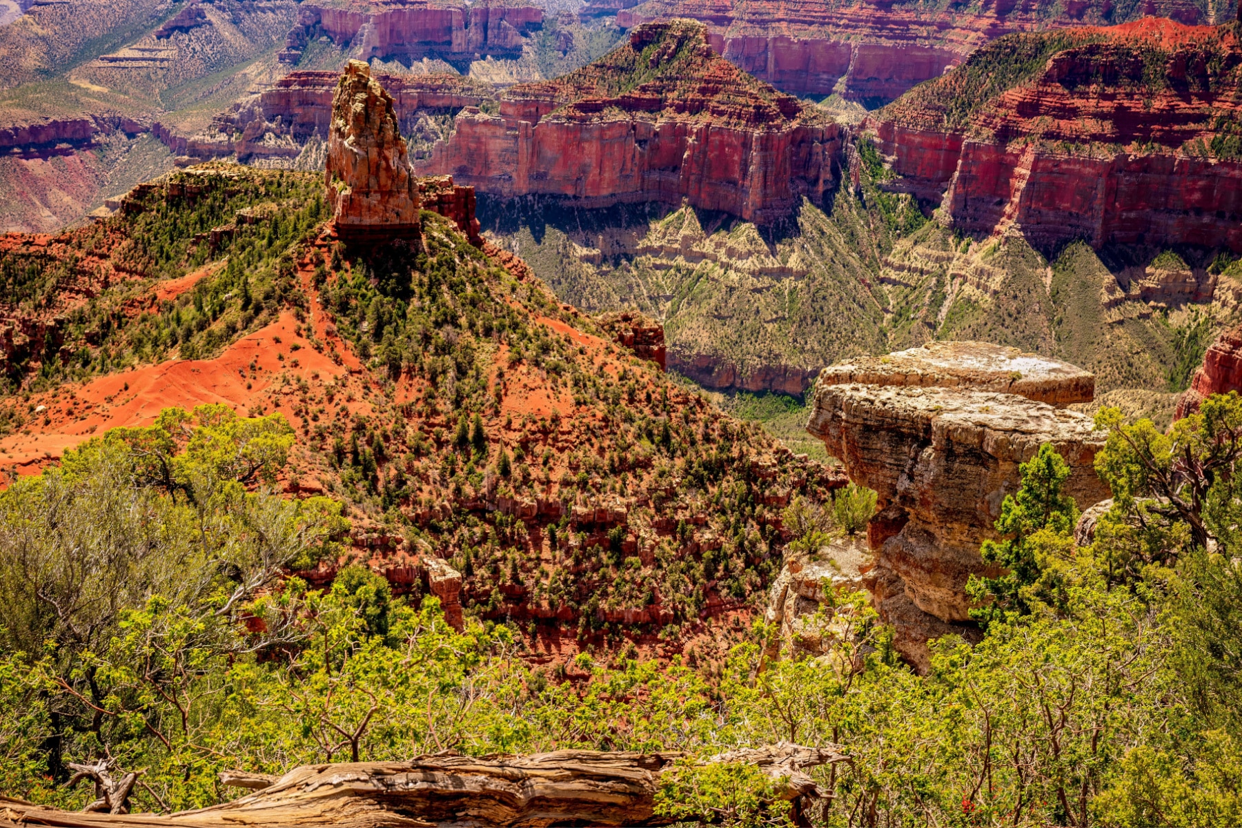 Point Imperial North Rim Hikes