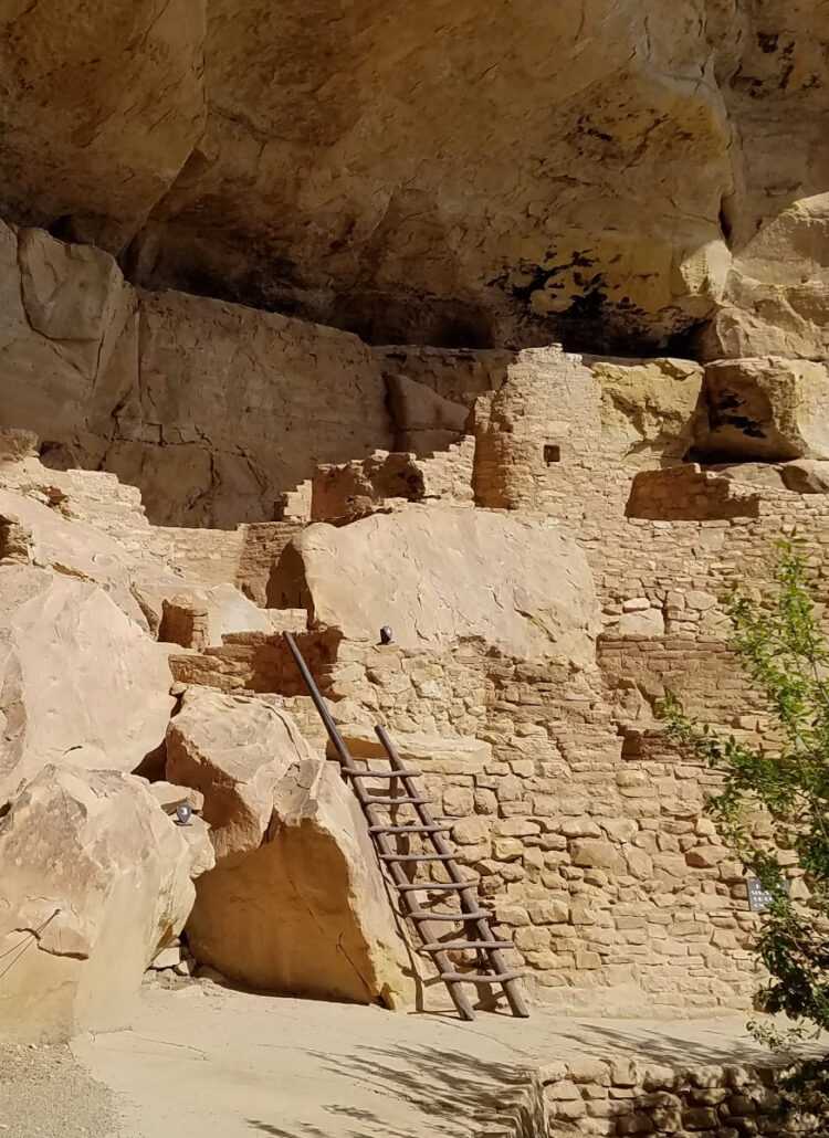 Step House Things to do in Mesa Verde National Park
