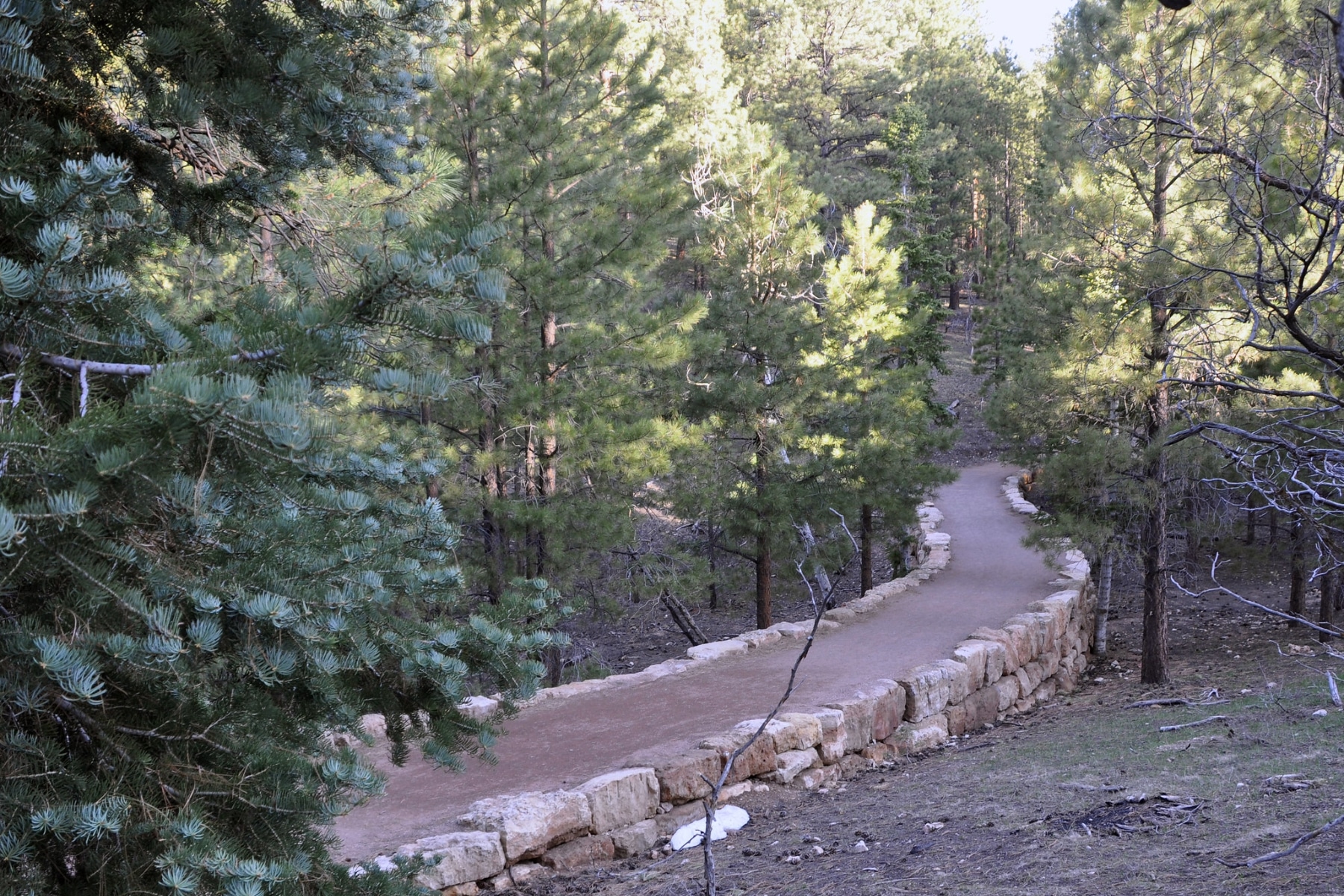 Bridle Trail Best Hikes Grand Canyon