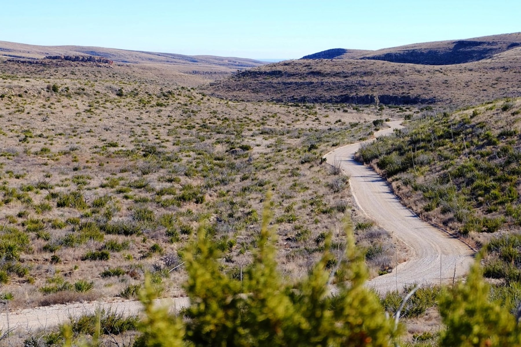 Walnut Canyon Desert Drive is one of the best things to do in Carlsbad Caverns National Park that's above ground. 