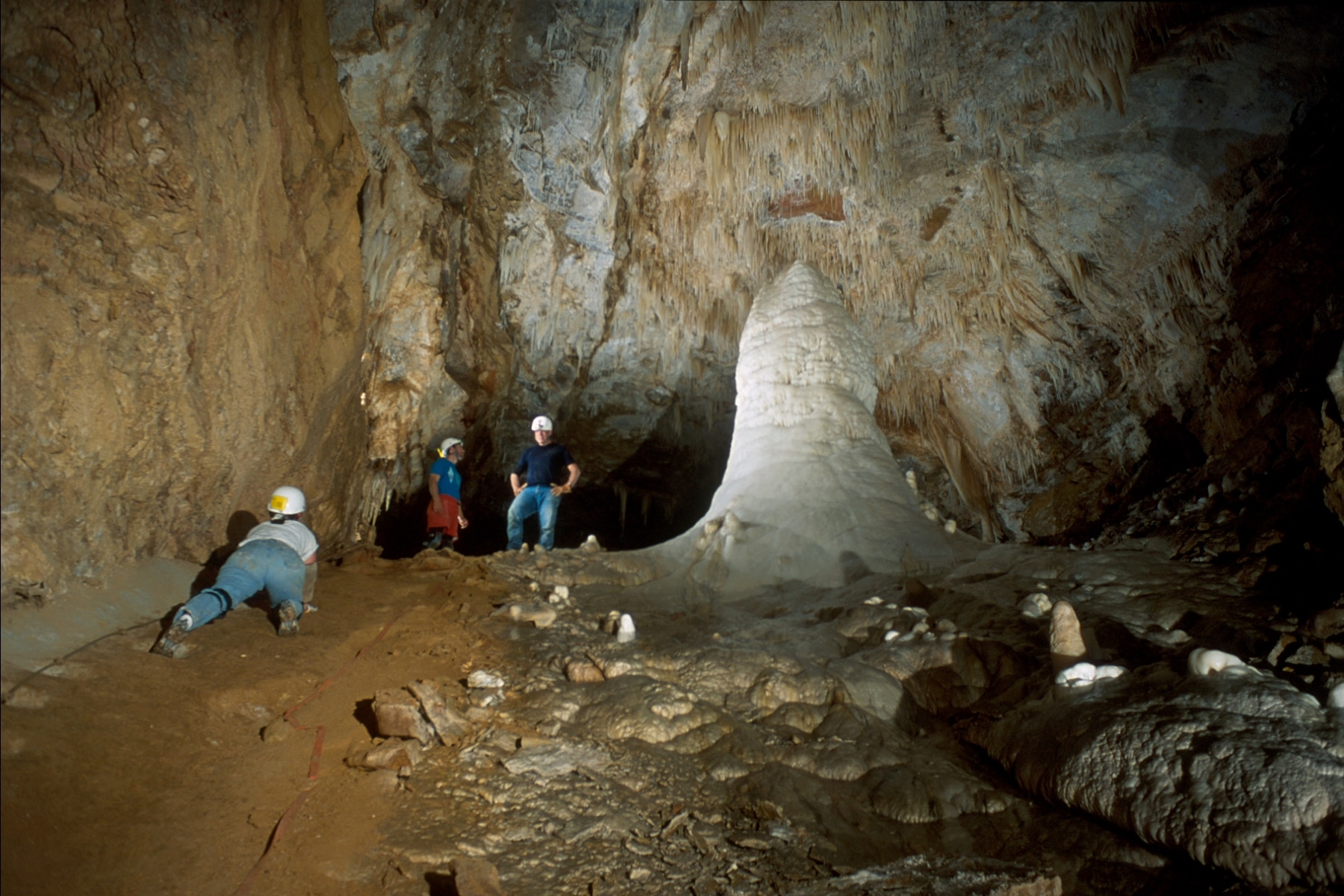 White Giant of Carlsbad Caverns National Park